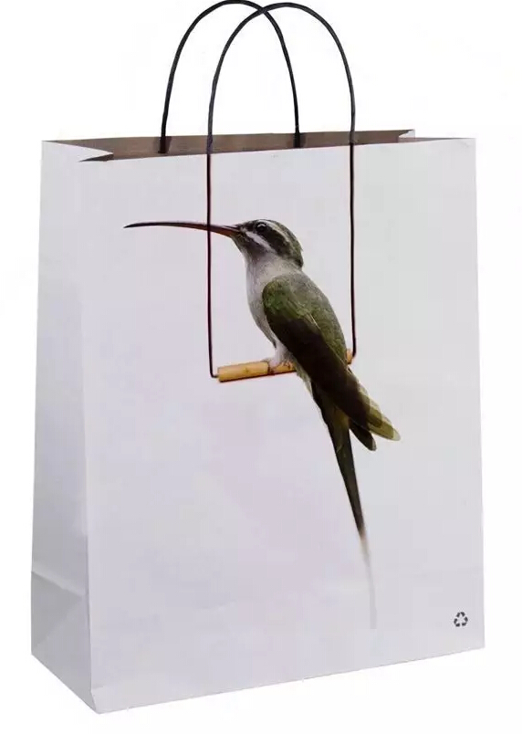 鸚鵡手提袋 鸚鵡紙質手提袋